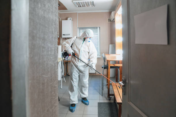 Best Environmental Consulting for Mold Prevention  in Robbinsdale, MN