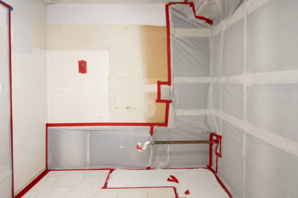 Best Basement Mold Removal  in Robbinsdale, MN
