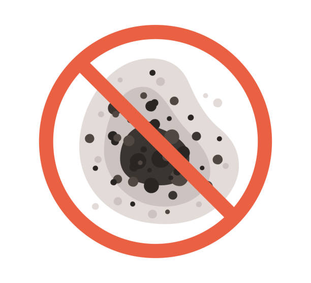 Best Forensic Mold Investigation  in Robbinsdale, MN