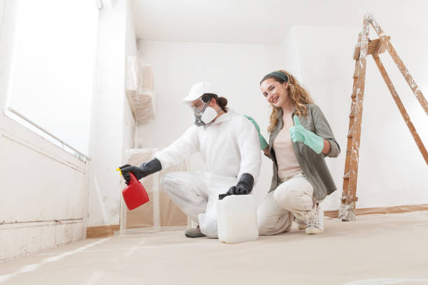 Best Mold Removal for HVAC Installations  in Robbinsdale, MN