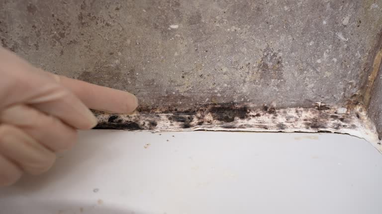 Best Post-Remediation Verification Testing  in Robbinsdale, MN